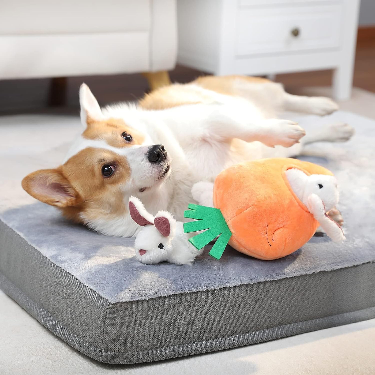 Exciting Interactive Hide and Seek Squeaky Plush Toy Set for Small Dogs - Adorable Rabbit and Carrot Design in Orange and White (5-Pack)