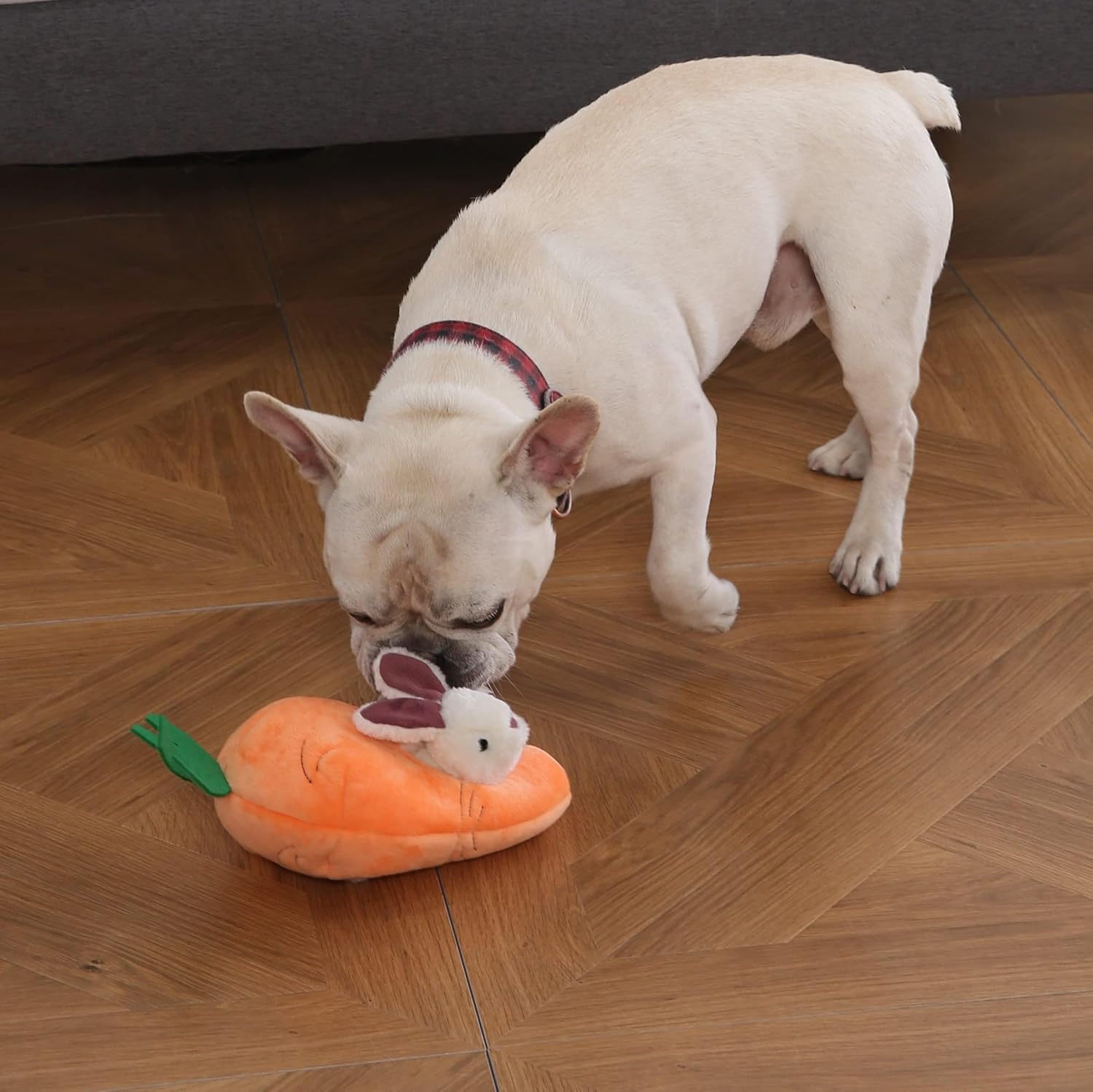Exciting Interactive Hide and Seek Squeaky Plush Toy Set for Small Dogs - Adorable Rabbit and Carrot Design in Orange and White (5-Pack)