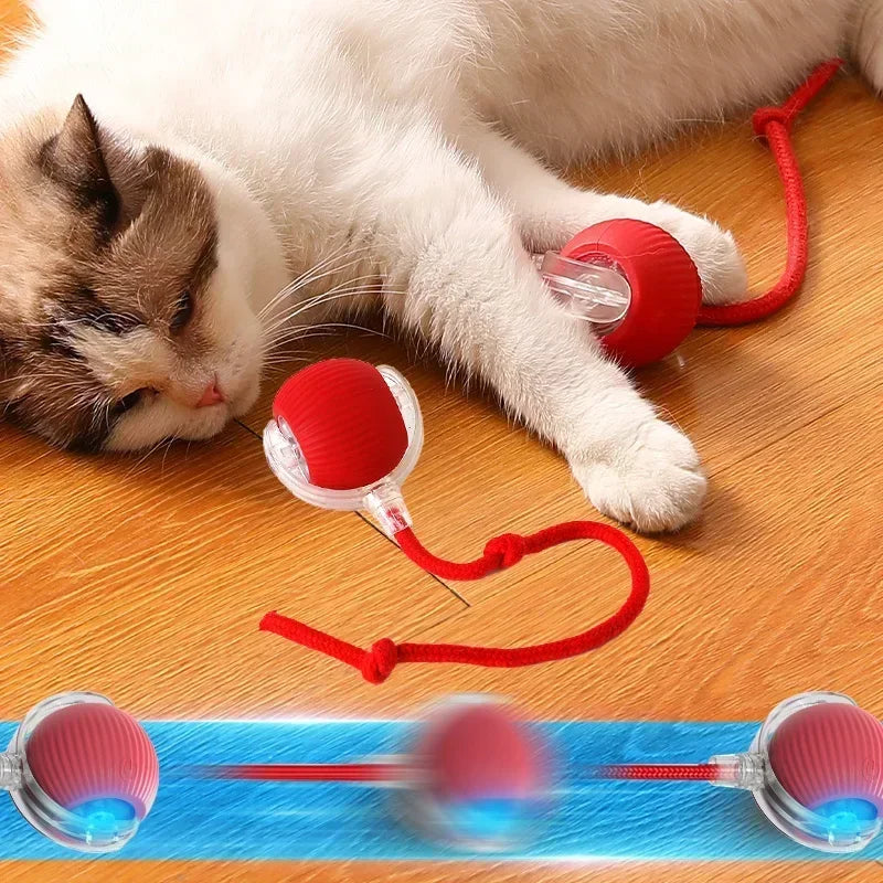 Engaging Cat Interactive Ball Toy - Automatic Rolling Ball with Rechargeable Tail for Fun Pet Training