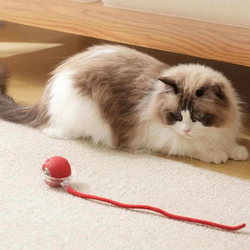 Engaging Cat Interactive Ball Toy - Automatic Rolling Ball with Rechargeable Tail for Fun Pet Training